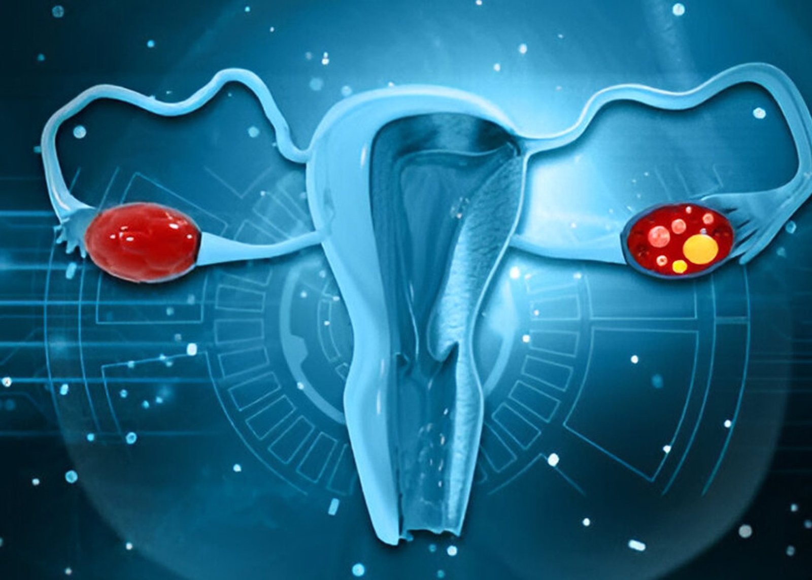 01K3TYSRHQ3BRHWP410QYT1J7B