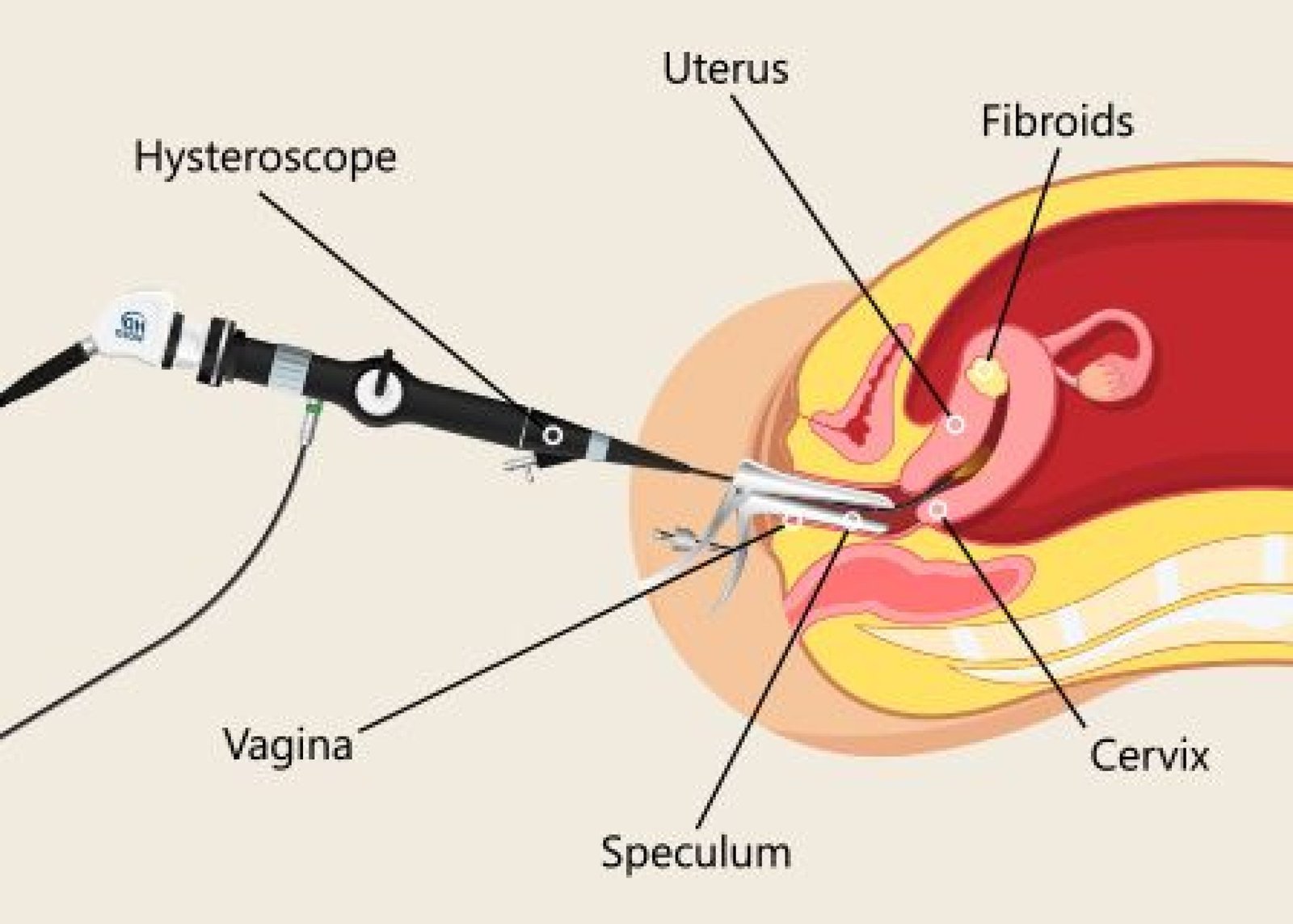 0345968f3436d5340ba36af0ed61e2e1