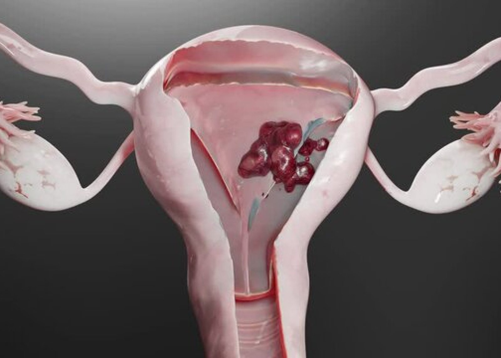 360_F_639534349_sfT0R82GtzP0IickM7Wp8Lz5htPLwUlQ