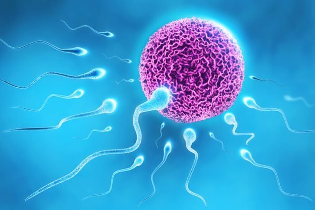 How-Successful-Is-IVF-With-Low-Ovarian-Reserve-low-egg-reserve-symptoms-Dr-Rhythm-Gupta-Excel-IVF