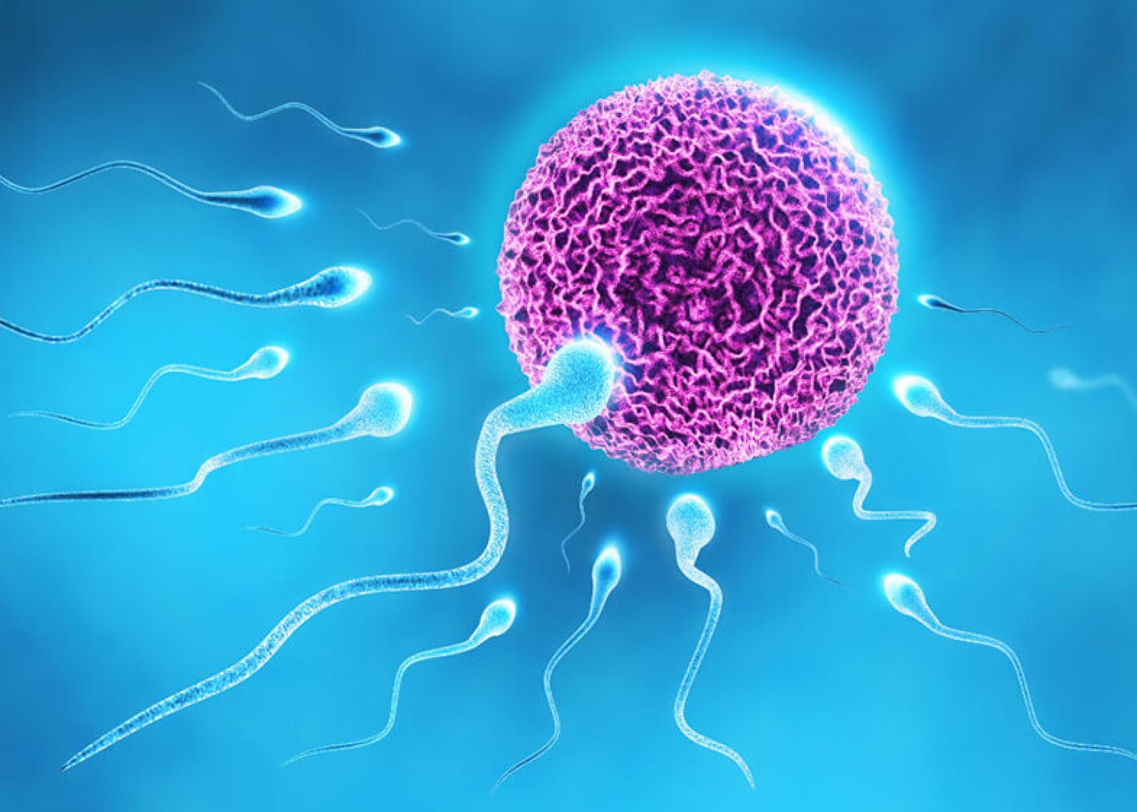 How-Successful-Is-IVF-With-Low-Ovarian-Reserve-low-egg-reserve-symptoms-Dr-Rhythm-Gupta-Excel-IVF