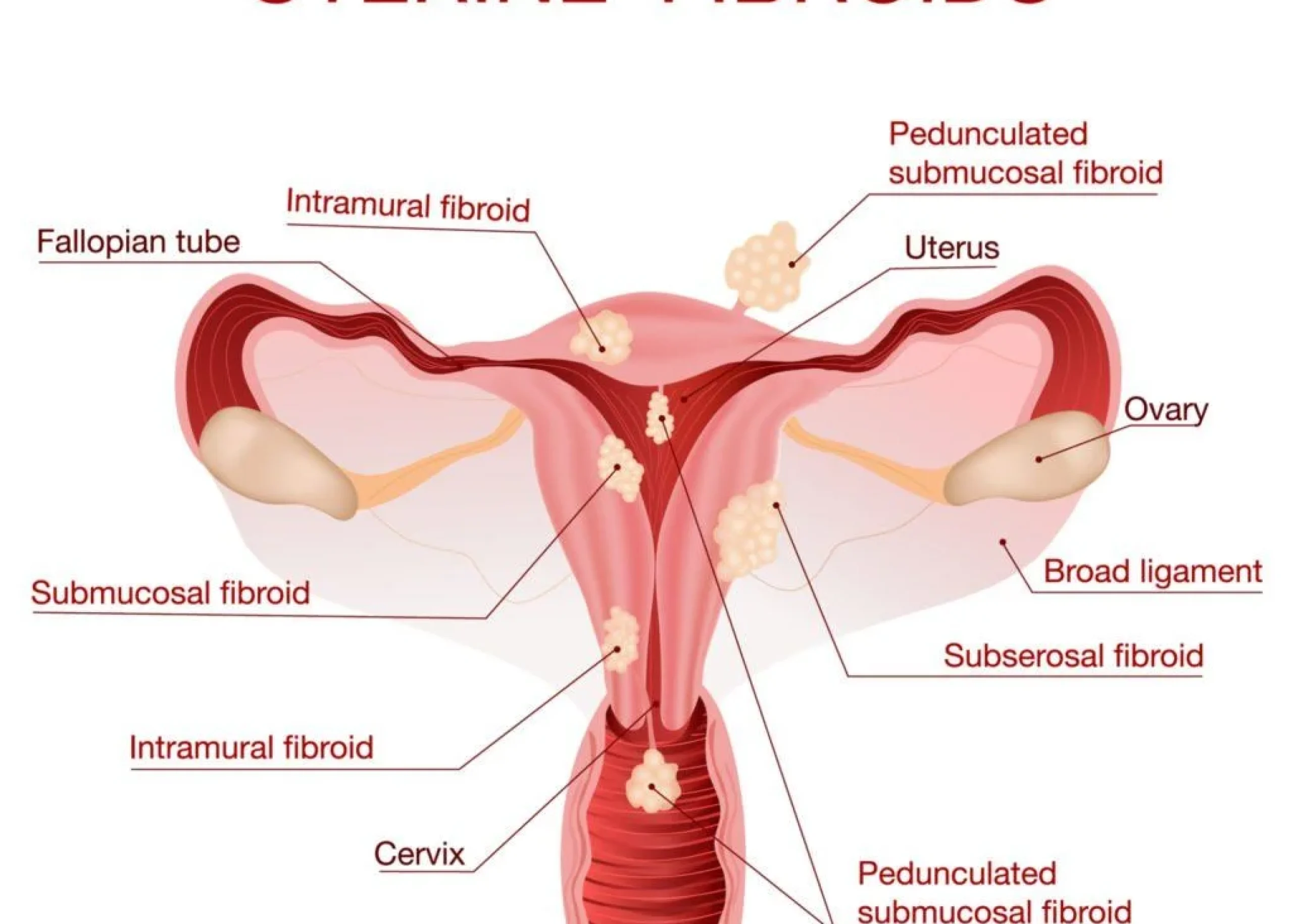 e2bb709ccfaea9aa1be23bd8172c0b06